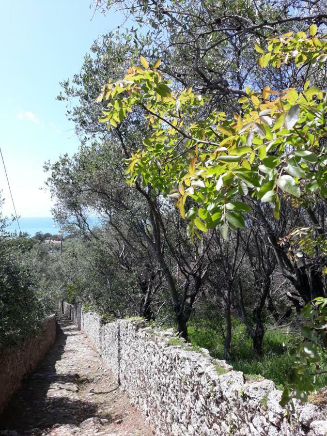 Appartamento Il Golfo Dei Poeti E 5 Terre A 2 Passi 斯培西亚 外观 照片